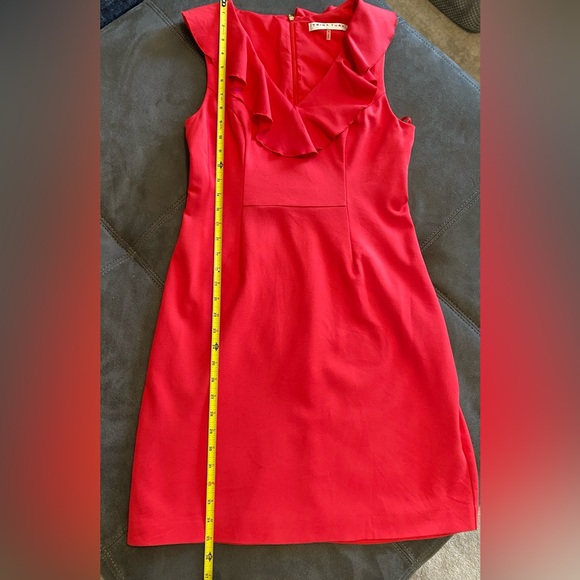 Trina Turk Alpin Ruffle Sheath V-neck Dress 4 - Picture 7 of 12